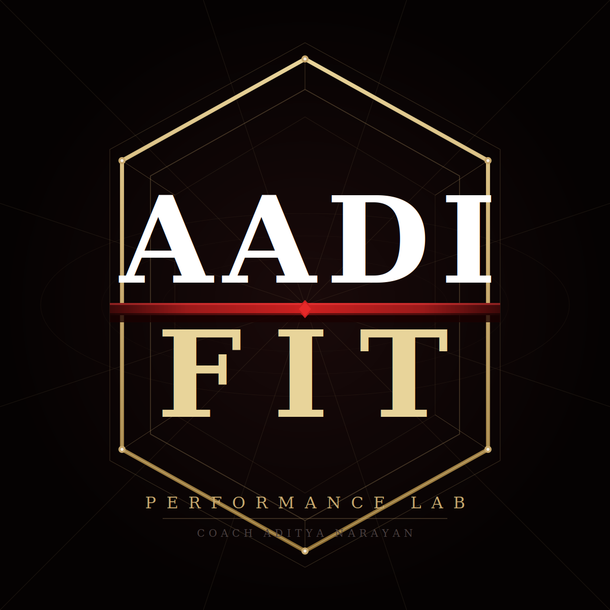 AadiFit Performance Lab